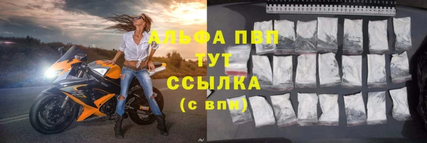 тгк Абаза