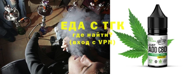 тгк Абаза