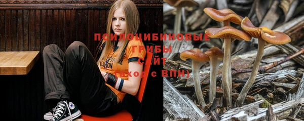 MESCALINE Протвино