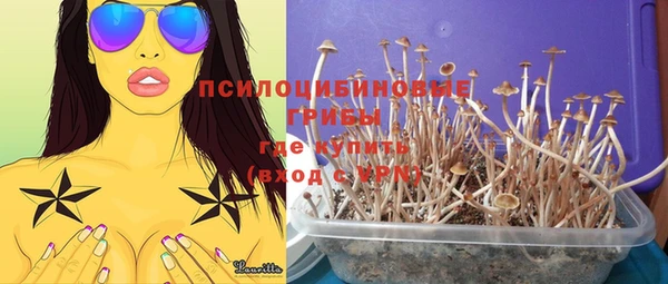 тгк Абаза